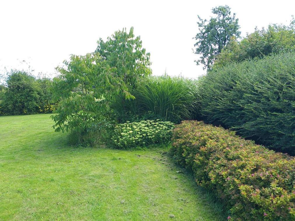 Maison Berton Gedinne Zewnętrze zdjęcie