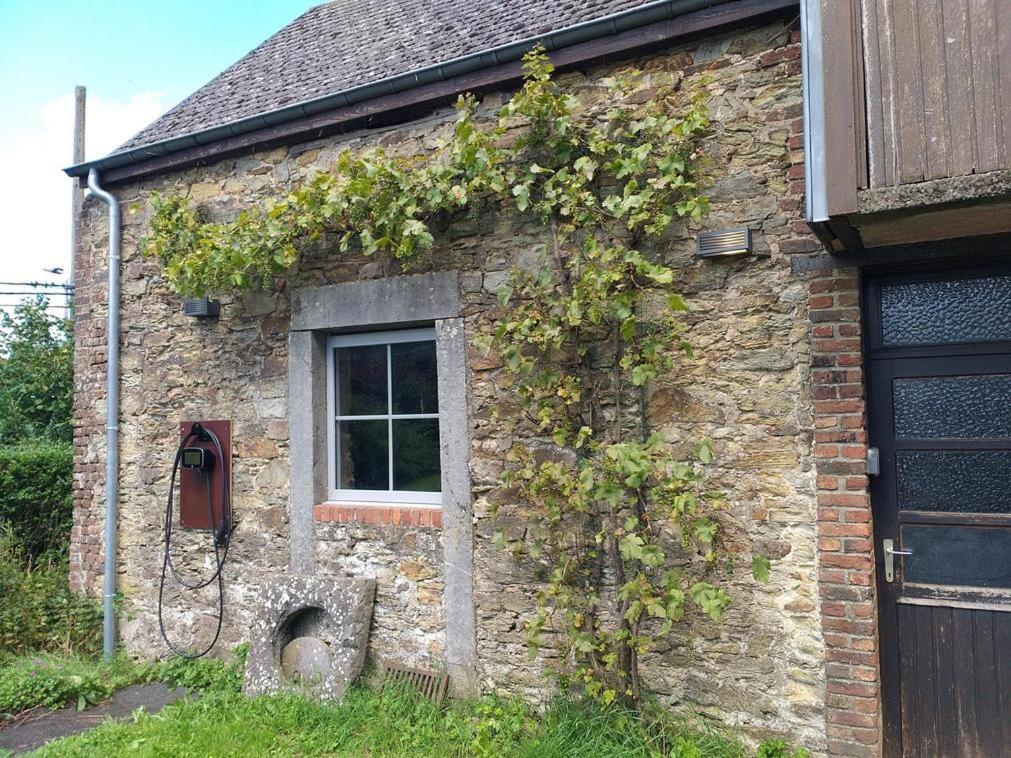 Maison Berton Gedinne Zewnętrze zdjęcie