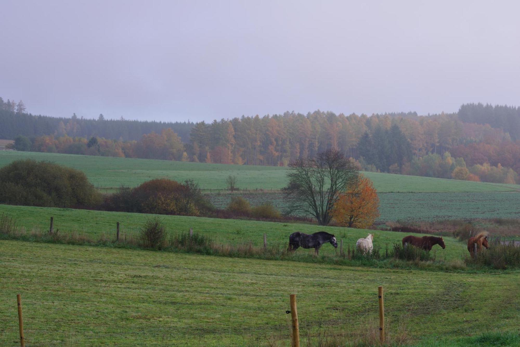 Maison Berton Gedinne Zewnętrze zdjęcie